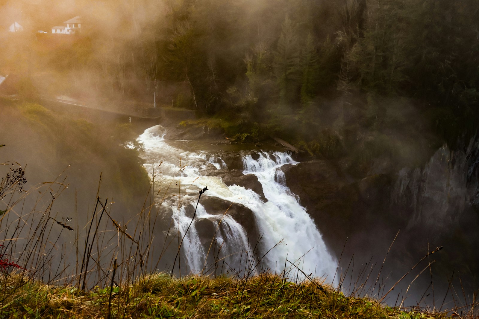 A waterfall in the middle of a forest